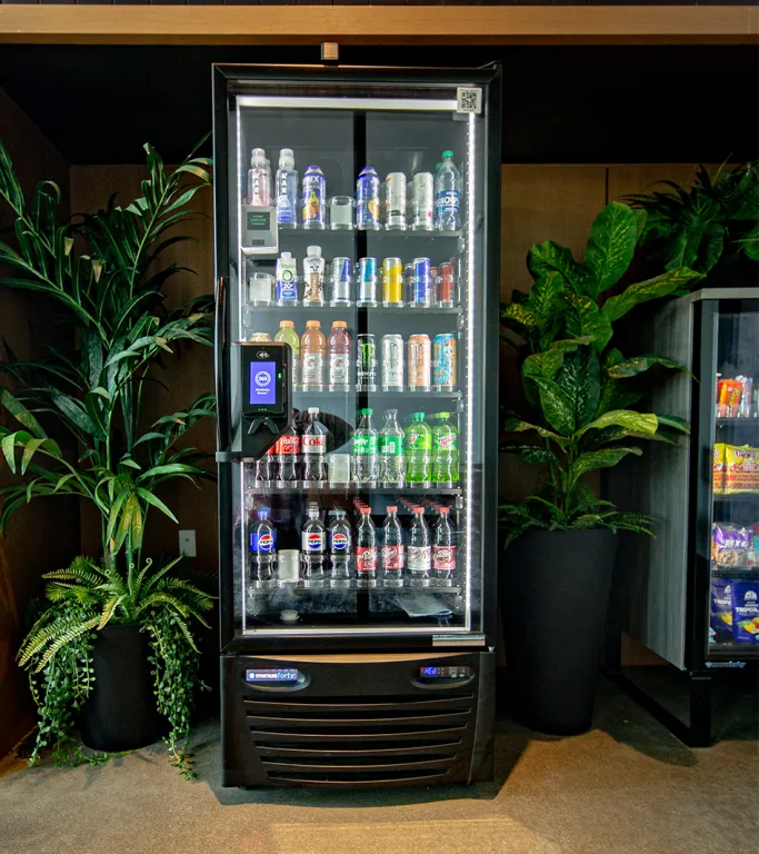 PicoCooler Vision
